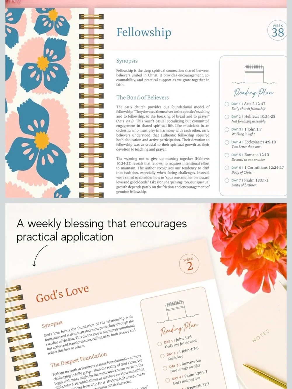 Spiral Bible The Bible in a Year - Floral Cover (Cream, Green, Pink, Yellow)